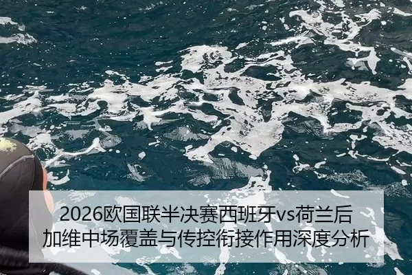 2026欧国联半决赛西班牙vs荷兰后加维中场覆盖与传控衔接作用深度分析