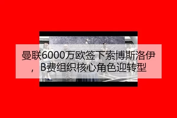 man-lian-wan-ou-qian-xia-suo-bo-si-luo-yi-fei-zu-zhi-he-xin-jue-se-ying-zhuan-xing-2-217.jpg